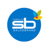 logo salcobrand